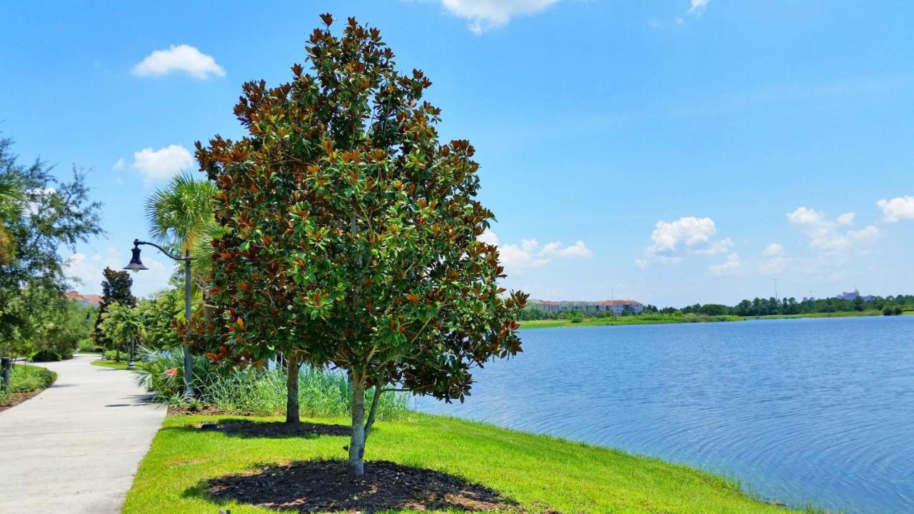 Luxury Vacation In This Gorgeous Vista Cay Condo Kissimmee Kültér fotó